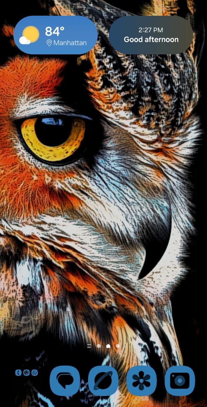 Owl Painting Digital file