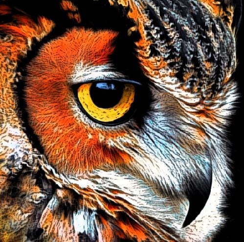 Owl Painting Digital file