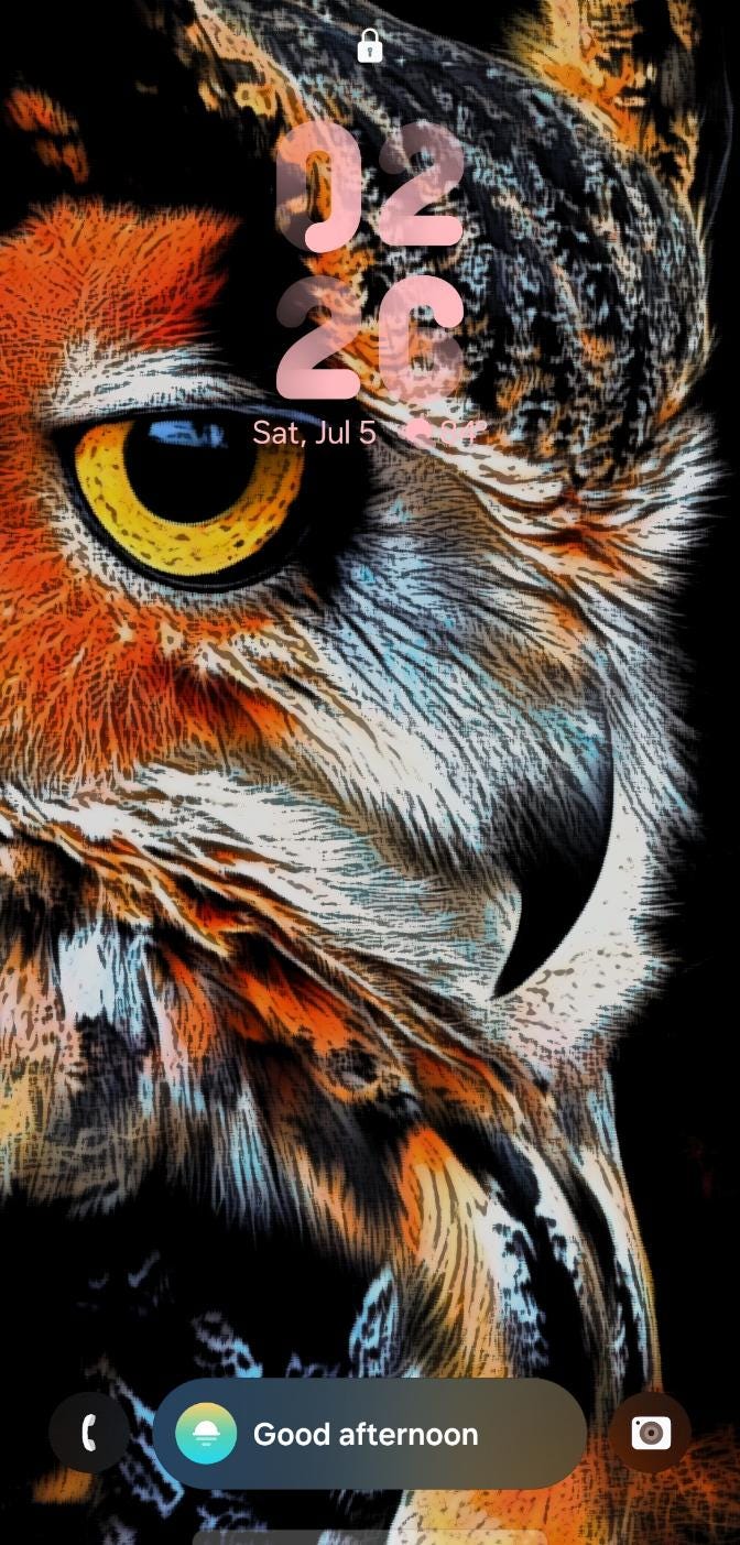Owl Painting Digital file