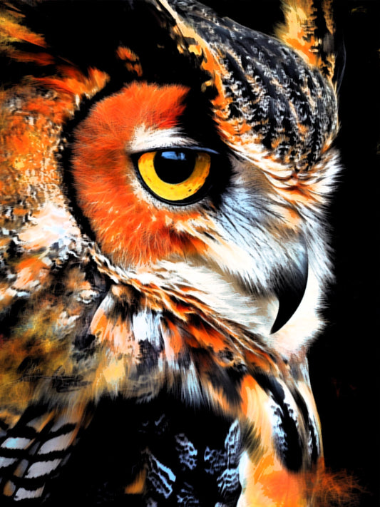 Owl Painting Digital file